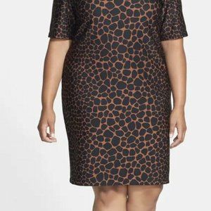Taylor Dresses Women’s Brown Animal Print Dress 12